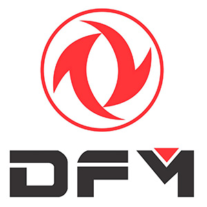 Dfm Logo 1